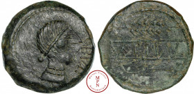 Hispania, Obulco, Bronze, 130-100 avant J.-C., Av. OBVLCO, Tête à droite avec un chignon, Rv. Inscription entre un araire et un épis de blé, Bronze, T...
