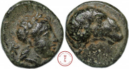 Aeolis, Aigai, Bronze, IV-IIIe siècle avant J.-C., Av. Tête laurée d'Apollon à droite, un K derrière la tête, Rv. Tête de bouc à droite, Bronze, TTB, ...