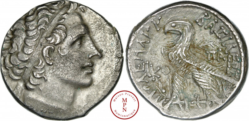 Égypte, Ptolémée XII Aulete (80-58), Paphos, Tétradrachme, Av. Tête diadémée à d...