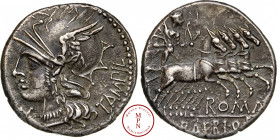 Baebia, Marcus Bæbius Tampilus, Denier, -137 avant J.-C., Av. TAMPIL, Tête casquée de Rome à gauche, sous le cou un X, Rv. ROMA / M. BAEBI. Q. F., Apo...