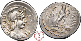 Plaetoria, M.F.Cestianus, Denier, - 60 avant J.-C., Rome, Av. CESTIANVS / SC, Buste ailé, casqué, coifée d'épis et lauré de Vacuna à droite, tenant un...