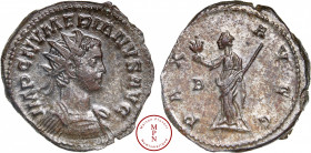 Numérien (282-283), Aurélianus, 282-283, Lyon, Av, IMP C NVMERIANVS AVG, Buste radié et cuirassé à droite, PAX AVGG, La Paix debout à gauche, tenant u...