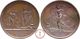 Napoléon Ier (1804-1815), Députation des maires de Paris à Schönbrunn, Médaille, Galle, 1805, Paris, Av. PANNONIA SVBACTA / AEDILES. PARIS. IMP. NEAPO...