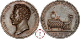 Louis XVIII (1815-1824), Louis, Duc d'Angoulême, Médaille, 1815, Bordeaux, Av. LOUIS ANTOINE DUC D'ANGOULEME / ANDRIEU F., Tête à gauche, Rv. S. A. R....