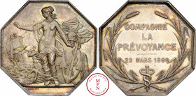 Troisième République (1870-1940), Assurances Maritimes, Compagnie « La Prévoyance », Jeton, 1869 Av. Femme à demi-nue entourée de marchandises, saluan...