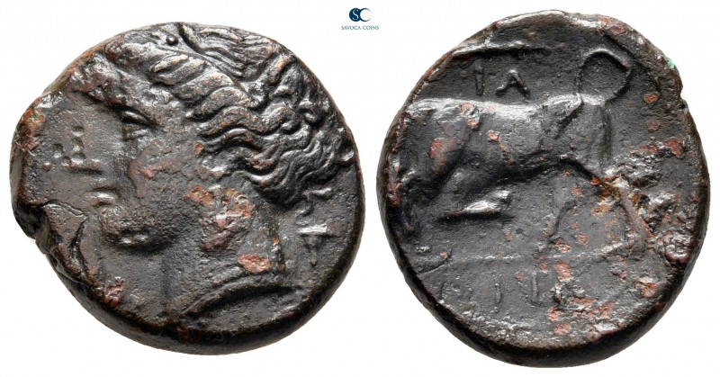 Sicily. Syracuse. Hieron II 275-215 BC. 
Litra Æ

20 mm, 5,55 g



very f...