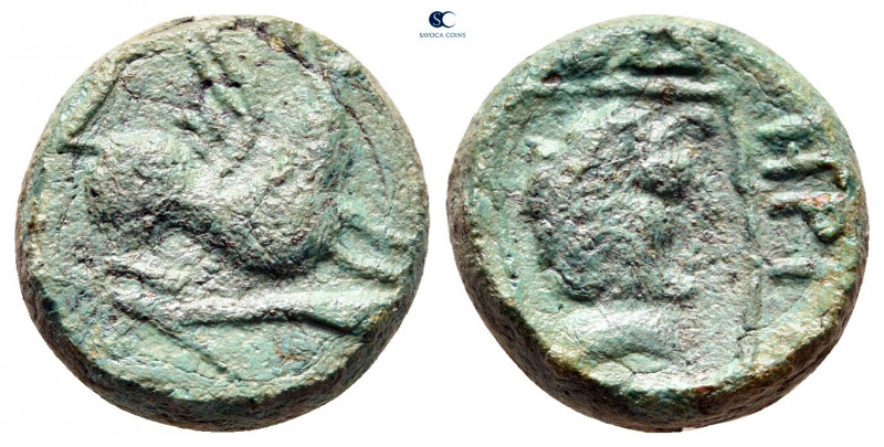Thrace. Abdera circa 400-350 BC. 
Bronze Æ

15 mm, 4,68 g



very fine