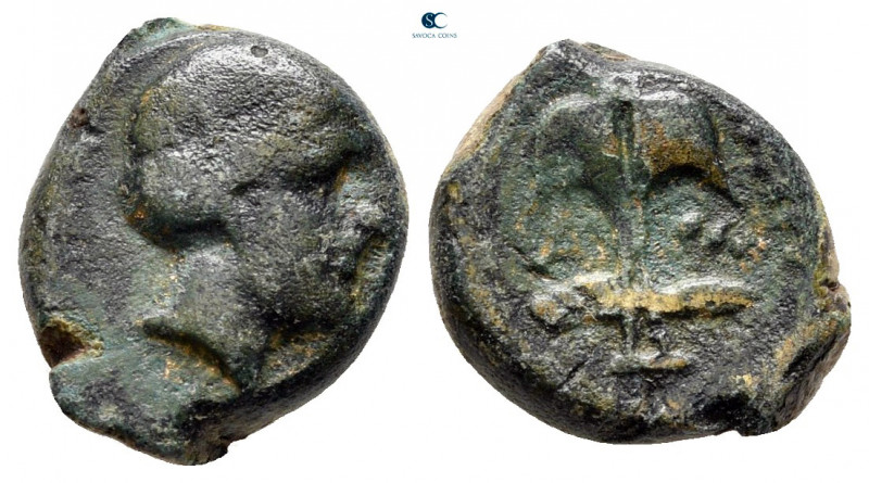 Thrace. Apollonia Pontica circa 350-200 BC. 
Dichalkon Æ

13 mm, 2,23 g


...