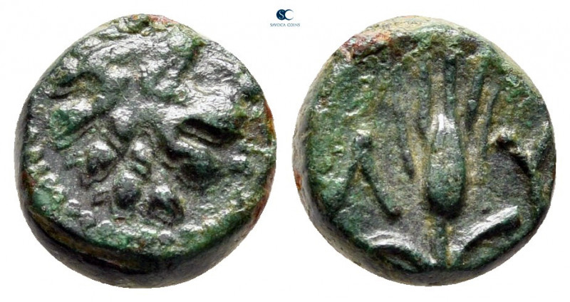 The Thracian Chersonese. Lysimacheia circa 309-220 BC. 
Bronze Æ

10 mm, 1,50...