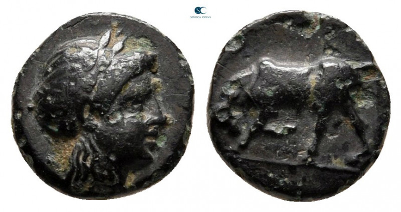 Mysia. Gambrion circa 350-300 BC. 
Bronze Æ

9 mm, 0,81 g



nearly very ...