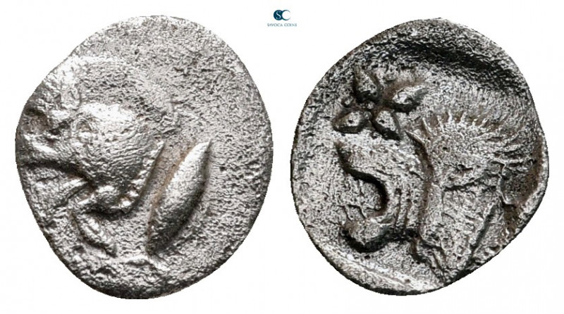 Mysia. Kyzikos circa 525-475 BC. 
Hemiobol AR

10 mm, 0,30 g



very fine
