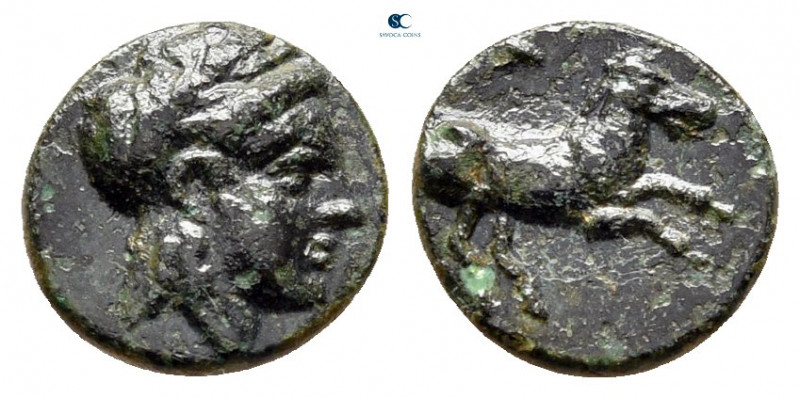 Troas. Gargara circa 350 BC. 
Bronze Æ

9 mm, 0,59 g



very fine