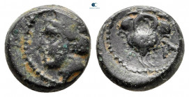 Cyprus. Paphos. Timocharis 350-332 BC. Bronze Æ