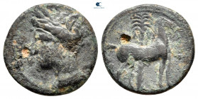 Zeugitana. Carthage circa 220-215 BC. Bronze Æ