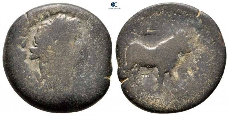 Egypt. Alexandria. Domitian AD 81-96. 
Diobol Æ

22 mm, 7,33 g



fine