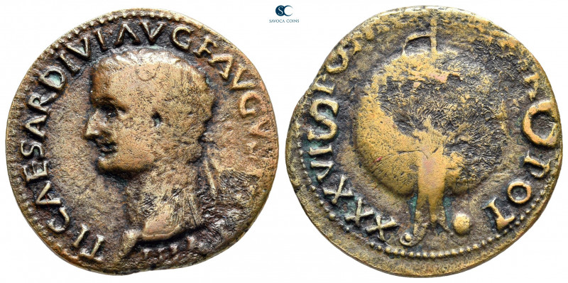 Tiberius AD 14-37. Rome
As Æ

27 mm, 8,35 g



nearly very fine