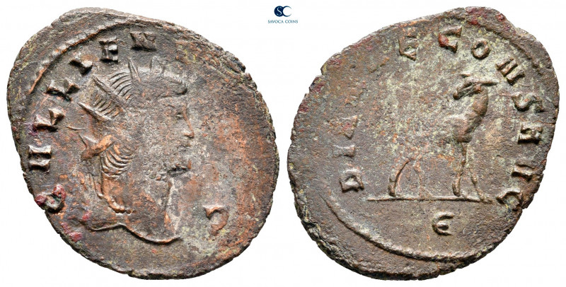 Gallienus AD 253-268. Rome
Antoninianus Æ

24 mm, 2,43 g



very fine