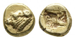 Greek
LESBOS, Mytilene. Circa 521-478 BC. EL Hemihekte – 1/24 Stater. (calf's head left / lion's head left in punch at rear, unpublished unit and unk...
