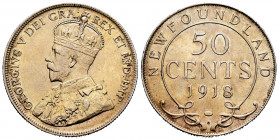Canada. George V. 50 cents. 1918. Ottawa. Newfoundland. (Km-12). Ag. 11,72 g. XF. Est...120,00. 


 SPANISH DESRCIPTION: Canadá. George V. 50 cents...