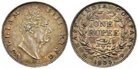 British India. William IV. 1 rupee. 1835. Calcutta. (Km-450.2). Ag. 11,68 g. Incuse F on the neck. Tone. Almost XF. Est...60,00. 


 SPANISH DESRCI...