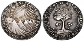 Central American Republic. 8 reales. 1829. Guatemala. M. (Km-4). Ag. 26,88 g. Scarce. Tone. Almost XF. Est...350,00. 


 SPANISH DESRCIPTION: Repúb...