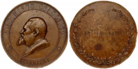 Russia Medal Professor V D Spasovich 1891. VLADIMIRUS SPASOVICZ MDCCCXCI. Description of obverse: Bust portrait of V.D. Spasovich; facing left; in a f...