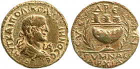 Provinzialrömische Münzen
Kilikien
Syedra
Bronzemünze Jahr 11 = 263. Belorb., kürass. Brb. r./Ölbecken zwischen zwei Palmen, darüber drei Becher. 1...