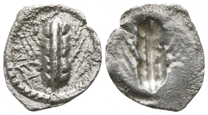 Lucania. Metapontion circa 540-510 BC.
Obol AR

10mm., 0,23g.

Ear of barle...
