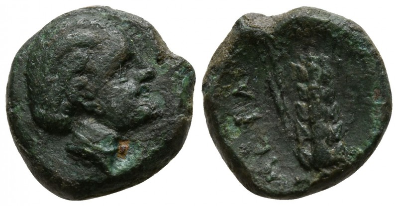 Lucania. Metapontion circa 400-200 BC.
Bronze Æ

11mm., 1,58g.

Female head...