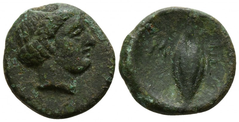 Lucania. Metapontion circa 320-300 BC.
Bronze Æ

12mm., 1,52g.

Head of Dem...