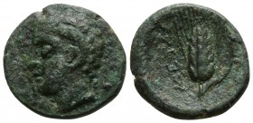 Lucania. Metapontion circa 200 BC. Bronze Æ