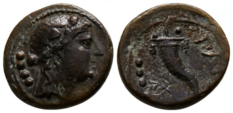 Lucania. Paestum. Second Punic War 220-205 BC.
Triens AE

16mm., 3,57g.

Fe...