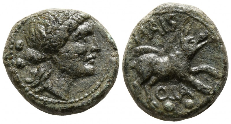 Lucania. Paestum circa 218-201 BC.
Sextans Æ

13mm., 3,37g.

Wreathed head ...