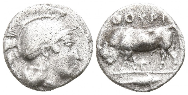 Lucania. Thourioi circa 400-300 BC.
Diobol AR

12mm., 1,06g.

Helmeted head...