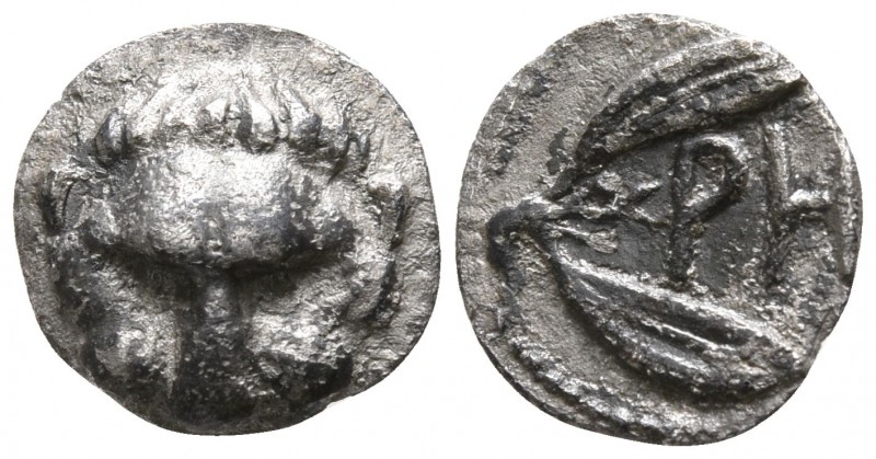 Bruttium. Rhegion circa 415-387 BC.
Obol AR

8mm., 0,62g.

Lion's scalp fac...