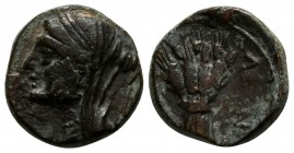 Sicily. Leontinoi 207-200 BC. Bronze Æ