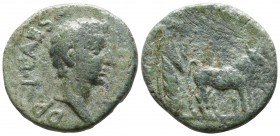 Macedon. Possibly Philippi. Drusus, son of Tiberius AD 22-23. Bronze Æ