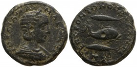 Thrace. Byzantion. Julia Mamaea AD 225-235. Bronze Æ
