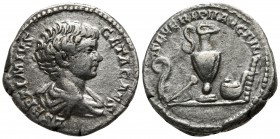 Geta as Caesar AD 197-209. Rome. Denarius AR