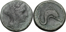 Greek Italy. Eastern Italy, Larinum. AE Biunx, c. 210-175 BC. Obv. Veiled and wreathed female head right. Rev. Dolphin right; below, LADINOD / [two pe...