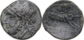 Greek Italy. Northern Apulia, Arpi. AE 19 mm, 325-275 BC. Obv. Head of Zeus left, laureate; behind, thunderbolt. Rev. Boar right; above, spear-head. H...