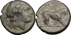 Greek Italy. Bruttium, Rhegion. AE 15 mm, 260-215 BC. Obv. Head of Apollo right, laureate. Rev. Lion right. HN Italy 2545. AE. 3.17 g. 15.00 mm. R. Ab...