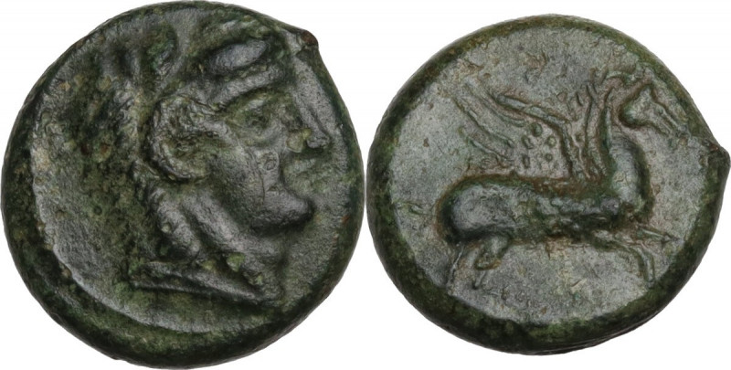 Sicily. Cephaloedium. AE 12.5 mm, C. 339/8-307 BC. Obv. Head of young Herakles r...