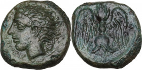 Sicily. Katane. AE 12 mm, 405-402 BC. Obv. Head of river god Amenanos left. Rev. Winged thunderbolt. CNS III 1; HGC 2 607. AE. 2.20 g. 12.00 mm. Green...