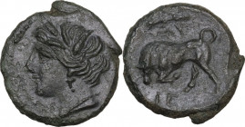 Sicily. Syracuse. Hieron II (274-215 BC). AE 17 mm, c. 275-269/265 BC. Obv. Head of Persephone left, wearing wreath of grain. Rev. Bull butting left; ...