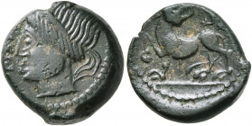 NORTHWEST GAUL. Carnutes. Pixtilos, circa 50-30 BC. AE (Bronze, 15 mm, 3.93 g, 2 h), Pixtilos. PIXT[ILOS] Diademed female head to left. Rev. Wolf stan...