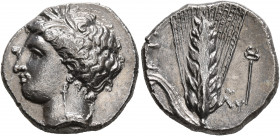 LUCANIA. Metapontion. Circa 340-330 BC. Didrachm or Nomos (Silver, 22 mm, 7.66 g, 1 h). Head of Demeter to left, wearing wreath of grain ears, pendant...