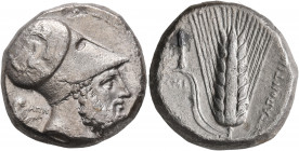 LUCANIA. Metapontion. Circa 340-330 BC. Distater (Silver, 24 mm, 15.47 g, 12 h). Bearded head of Leukippos to right, wearing Corinthian helmet decorat...