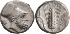 LUCANIA. Metapontion. Circa 340-330 BC. Didrachm or Nomos (Silver, 19 mm, 7.80 g, 11 h). Bearded head of Leukippos to right, wearing Corinthian helmet...