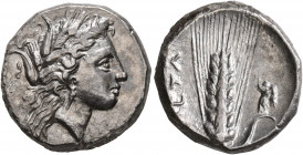 LUCANIA. Metapontion. Circa 330-290 BC. Didrachm or Nomos (Silver, 20 mm, 7.80 g, 5 h). Head of Demeter to right, wearing wreath of grain ears, triple...